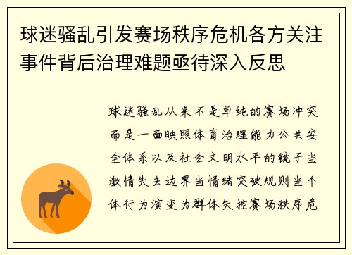 球迷骚乱引发赛场秩序危机各方关注事件背后治理难题亟待深入反思 球迷骚乱引发赛场秩序危机各方关注事件背后治理难题亟待深入反思